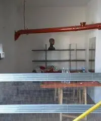 Rif: Capuano - Magazzino Rivoli 200 mq Rif: Capuano - Magazzino Rivoli 200 mq