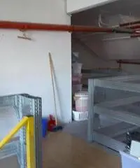 Rif: Capuano - Magazzino Rivoli 200 mq Rif: Capuano - Magazzino Rivoli 200 mq