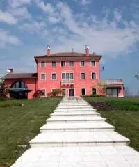 Commerciale in vendita a Asolo Commerciale in vendita a Asolo