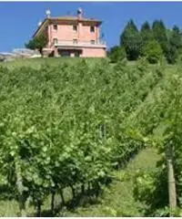 Commerciale in vendita a Asolo Commerciale in vendita a Asolo