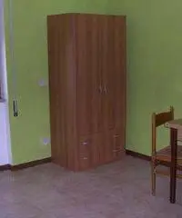 Appartamento di 1 locali in Affitto Appartamento di 1 locali in Affitto