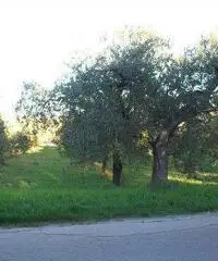 Lanciano Vendita Terreno