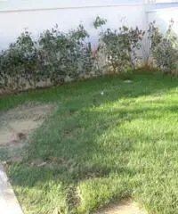 Villa in Vendita - NORD