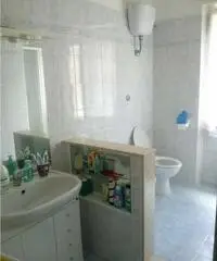 Due ampie camere singole Due ampie camere singole