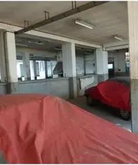 21531028-41 - Villa + capannone 21531028-41 - Villa + capannone