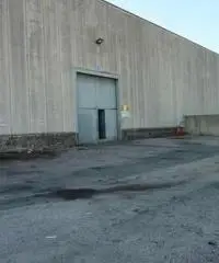 Vendita Capannone da 2500mq