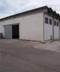 Affitto Capannone in via del commercio, 1/a Affitto Capannone in via del commercio, 1/a