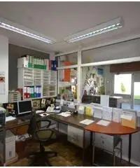 Vendita Magazzino da 919mq Vendita Magazzino da 919mq