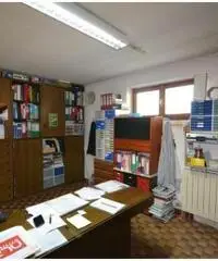 Vendita Magazzino da 919mq Vendita Magazzino da 919mq