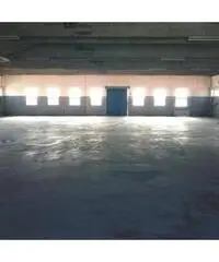 Affitto Capannone in Via Mario Betti