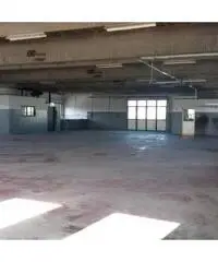 Affitto Capannone in Via Mario Betti