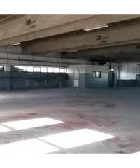 Affitto Capannone in Via Mario Betti