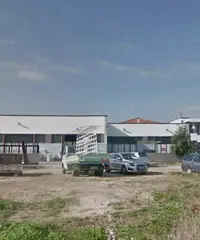 Capannone 180 mq zona artigianale termoli 850 euro Capannone 180 mq zona artigianale termoli 850 euro
