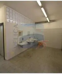 Affitto Capannone in Via Ezio Tarantelli Affitto Capannone in Via Ezio Tarantelli