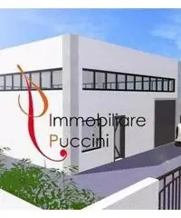 Affitto Capannone in via Baldanzese