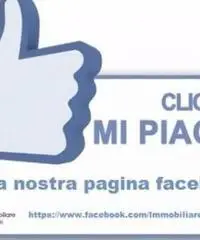 Affitto Capannone in via degli Olmi