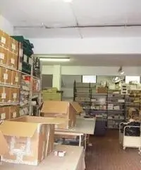 CAPANNONI MAGAZZINI - ARTIGIANALE - FIRENZE CAPANNONI MAGAZZINI - ARTIGIANALE - FIRENZE