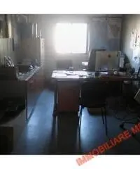 CAPANNONI MAGAZZINI - ARTIGIANALE - GREVE IN CHIANTI CAPANNONI MAGAZZINI - ARTIGIANALE - GREVE IN CHIANTI