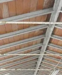 Laboratorio in vendita a CAMBIANO - Castelfiorentino 580 mq  Rif: 454142