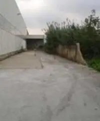 Capannone in Vendita a Cesena Capannone in Vendita a Cesena