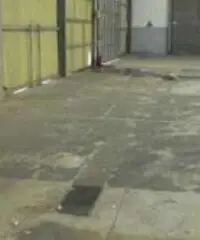 Capannone in Vendita a Cesena Capannone in Vendita a Cesena