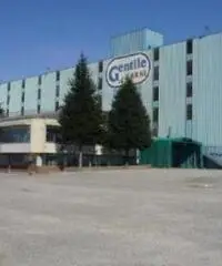 Vendita Capannone in Loc. Zona Industriale Vendita Capannone in Loc. Zona Industriale