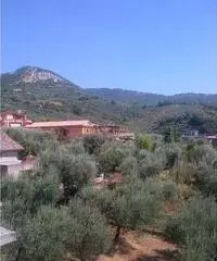 Rif: 85 - Magazzino in Vendita a Rocca Massima