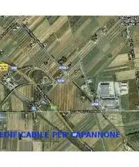 Capannone industriale in vendita a RIOTORTO - Piombino 4500 mq  Rif: 152048