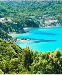 Magazzini: Vendita Hotel da 4200mq Magazzini: Vendita Hotel da 4200mq