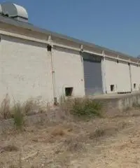 capannone industriale in vendita Ferrandina capannone industriale in vendita Ferrandina