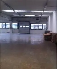 Affitto Capannone da 1156mq