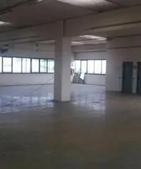 Affitto Capannone da 1156mq