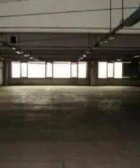 Affitto Capannone da 2000mq Affitto Capannone da 2000mq