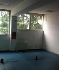 Affitto Capannone da 2650mq