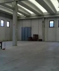 Affitto Capannone da 600mq Affitto Capannone da 600mq