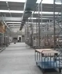 Affitto Capannone in Via Gian Lorenzo Bernini