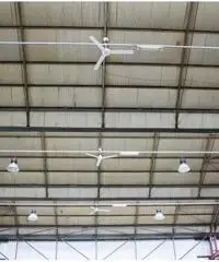 Affitto Capannone in Via Cassanese