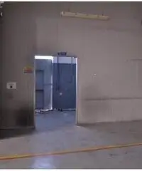 Affitto Capannone in Via Antonio Canova Affitto Capannone in Via Antonio Canova