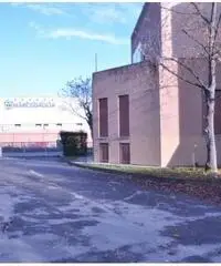 Affitto Capannone in Via Antonio Canova Affitto Capannone in Via Antonio Canova