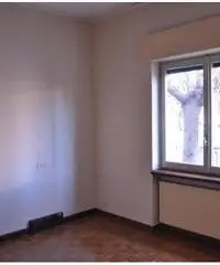 Affitto Capannone in Via Antonio Canova Affitto Capannone in Via Antonio Canova