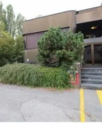 Affitto Capannone in Viale Italia