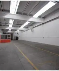 Affitto Capannone in Viale Italia