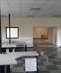 Affitto Capannone in Via Gian Lorenzo Bernini