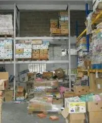 Affitto Capannone in Via Isaac Newton