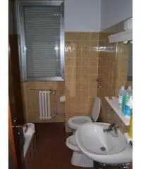 Limito: Affitto Capannone in Via Dante Alighieri