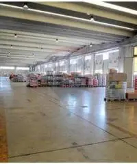 Vendita Capannone da 9000mq con ascensore Vendita Capannone da 9000mq con ascensore