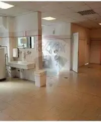 Vendita Capannone da 9000mq con ascensore Vendita Capannone da 9000mq con ascensore