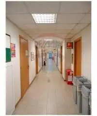 Vendita Capannone da 9000mq con ascensore Vendita Capannone da 9000mq con ascensore