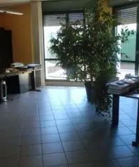 Vendita Capannone in Via Cascina Venina