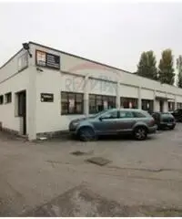 Vendita Capannone da 6000mq Vendita Capannone da 6000mq